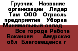 Грузчик › Название организации ­ Лидер Тим, ООО › Отрасль предприятия ­ Уборка › Минимальный оклад ­ 15 000 - Все города Работа » Вакансии   . Амурская обл.,Благовещенск г.